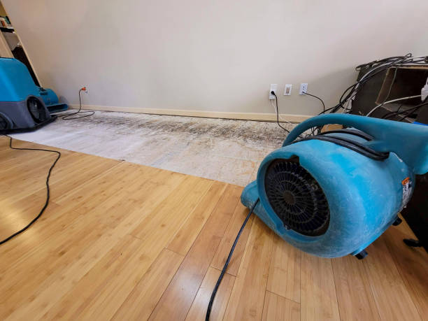 Professional Water Damage Repair technician working in Prague, OK